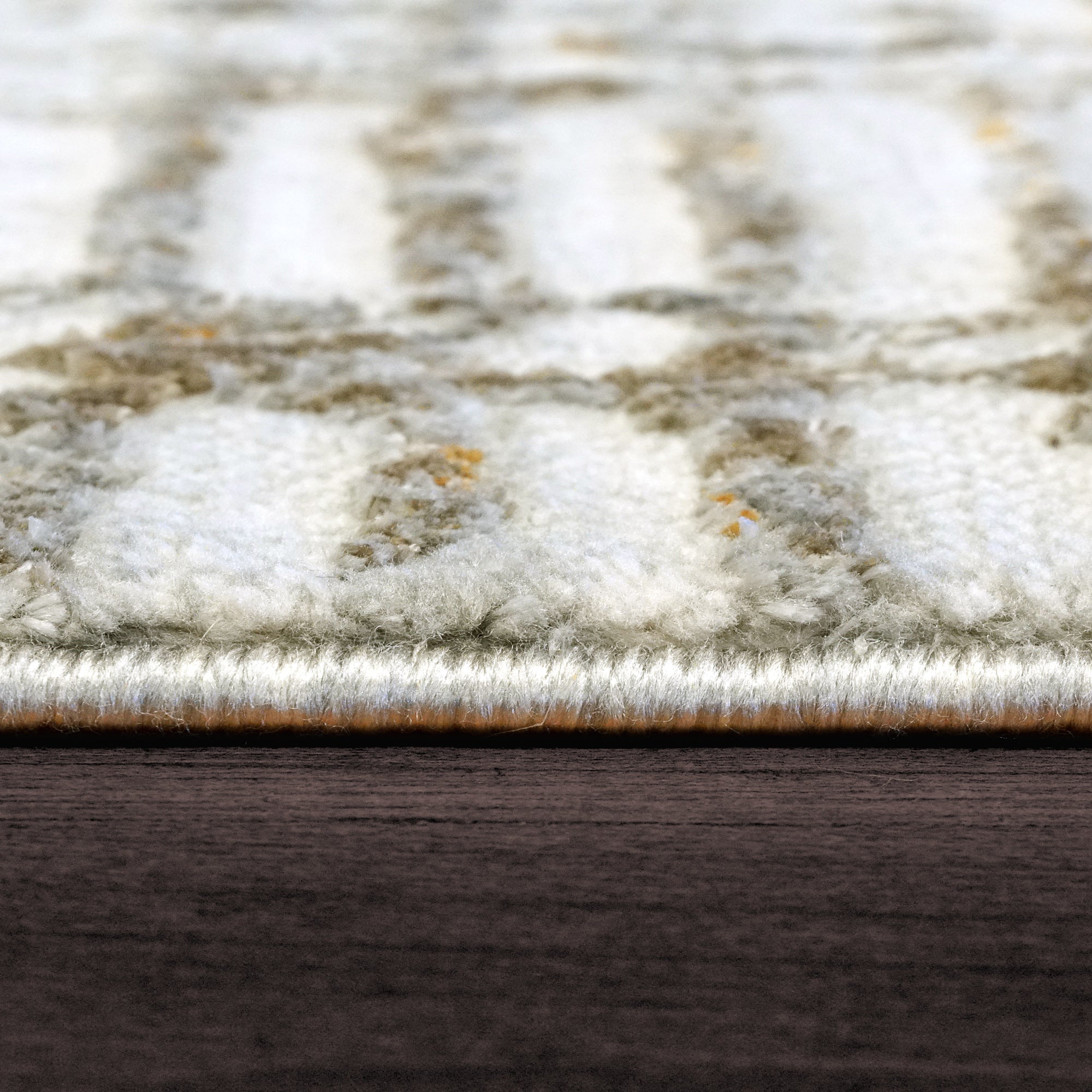Dynamic Rugs GOLD 1356-897 Cream/Silver Rug