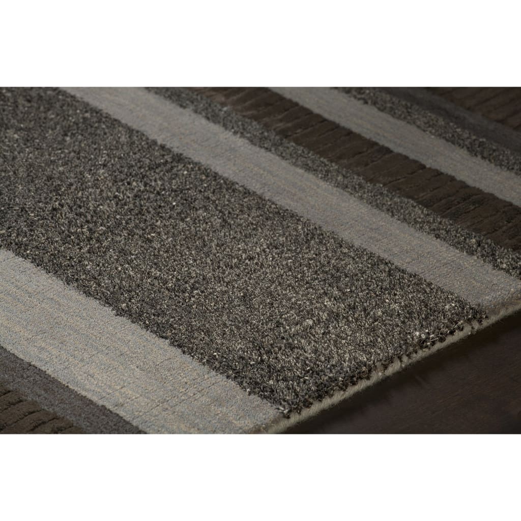 Chandra Zyago AMI-30501 Brown Rug