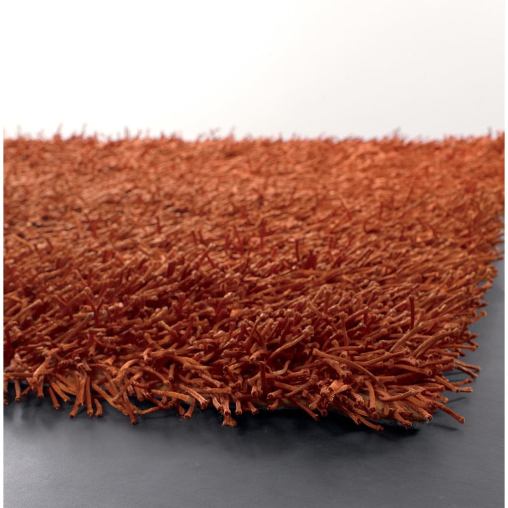 Chandra Zyaa ZAR-14524 Rust Rug