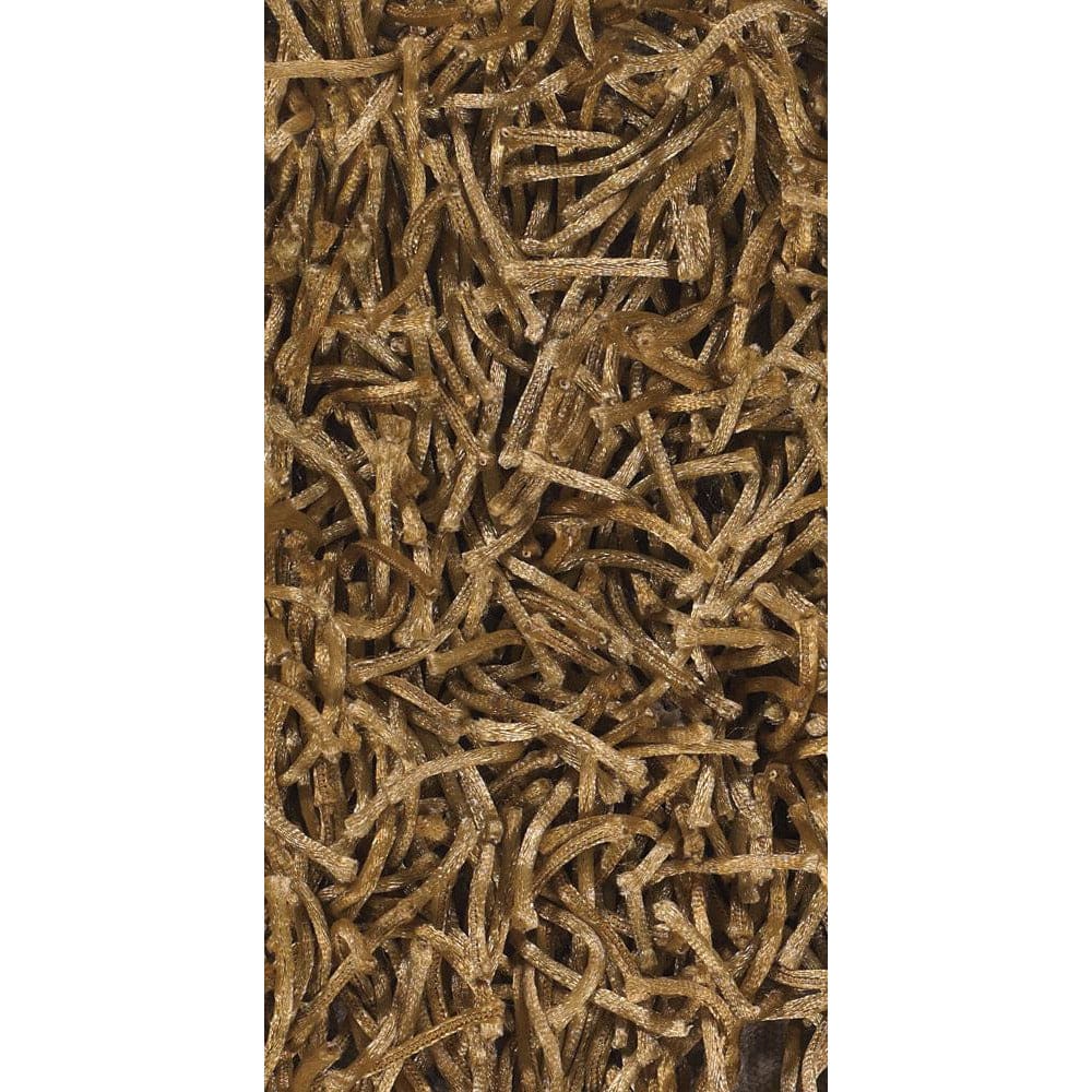 Chandra Zyaa ZAR-14531 Brown Rug