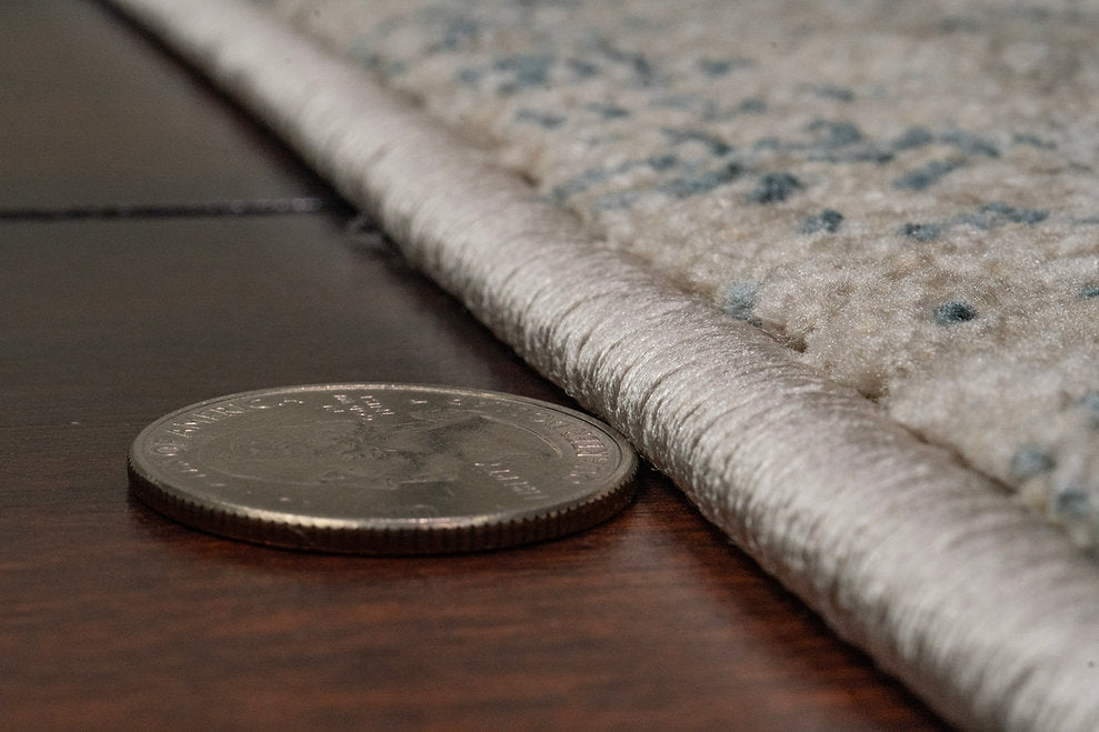 Dynamic Rugs Bloomfield 19603-910 Grey/Cream Rug