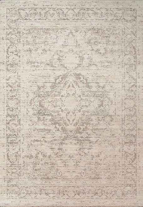 Dynamic Rugs Aimon 16657-919 Light Grey/Grey Rug
