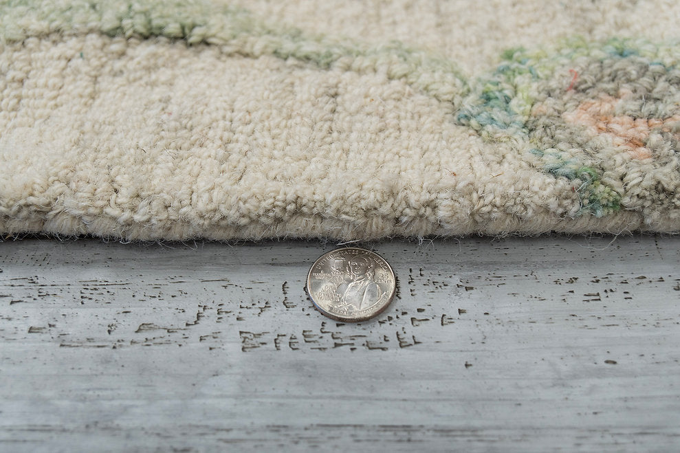 Dynamic Rugs Daisy 9095-846 Beige/Sage/Rust Rug