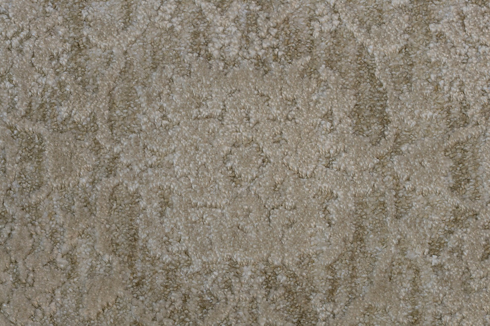 Dynamic Rugs Canyon 15473-880 Beige/Light Beige Rug