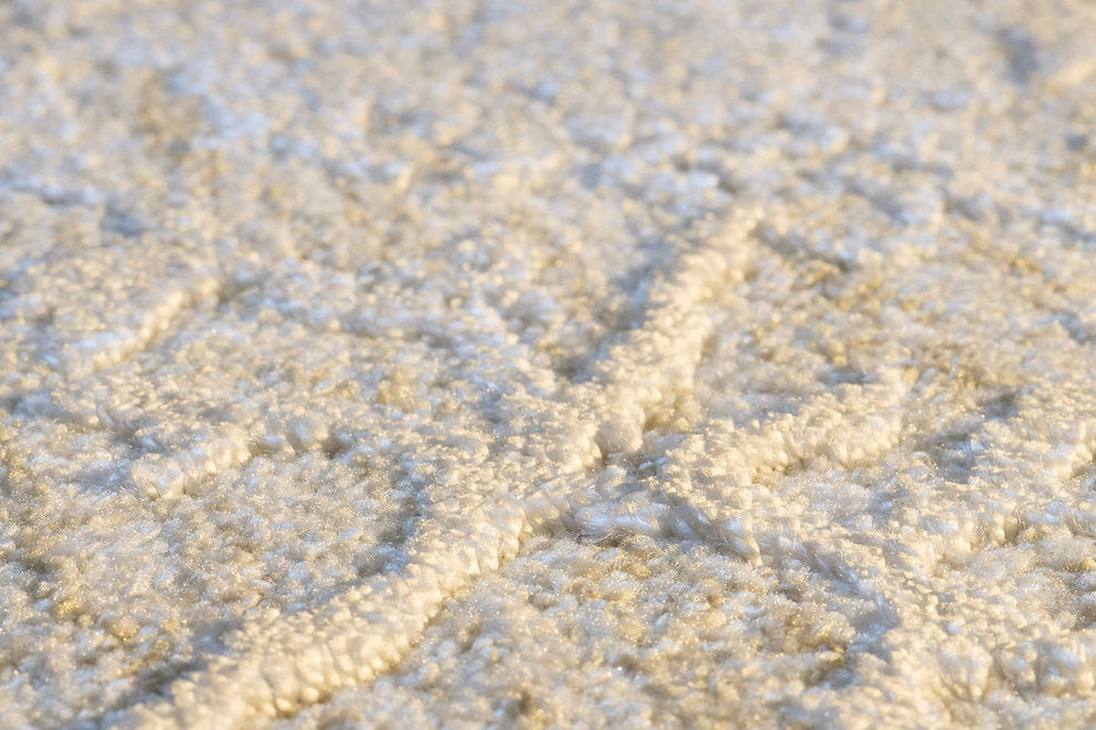 Dynamic Rugs Canyon 15473-880 Beige/Light Beige Rug