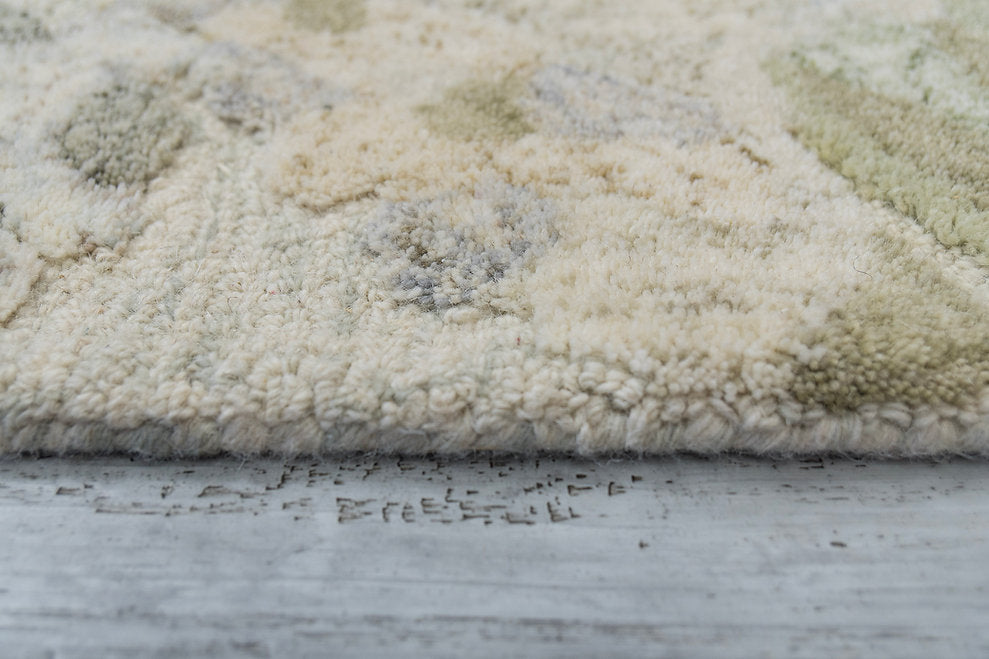 Dynamic Rugs Daisy 9092-499 Sage/Multi Rug