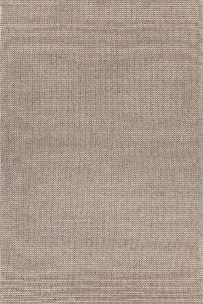 Chandra Zyaen ASP-50501 Taupe Rug