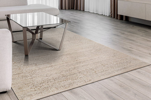 Dynamic Rugs Aimon 16656-980 Light Grey/Beige Rug