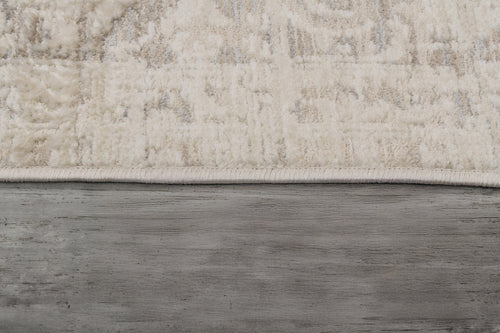 Dynamic Rugs Aimon 16657-919 Light Grey/Grey Rug