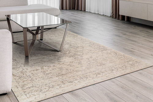Dynamic Rugs Aimon 16657-919 Light Grey/Grey Rug