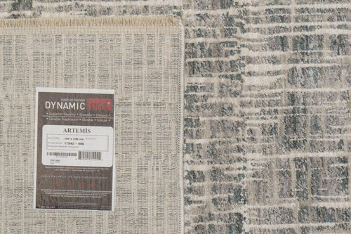 Dynamic Rugs Artemis 17542-990 Grey/Dark Grey Rug