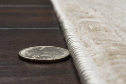 Dynamic Rugs Artemis 17544-890 Beige/Grey Rug