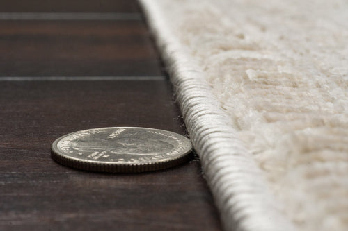 Dynamic Rugs Artemis 17544-890 Beige/Grey Rug