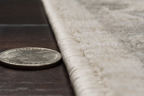 Dynamic Rugs Artemis 17549-980 Grey/Beige Rug
