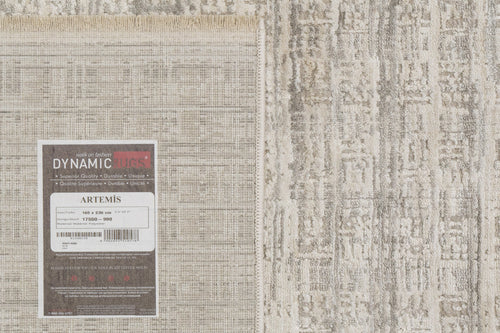 Dynamic Rugs Artemis 17550-990 Grey/Dark Grey Rug