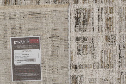 Dynamic Rugs Artemis 17552-890 Beige/Grey Rug