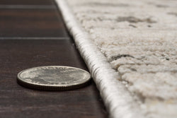 Dynamic Rugs Artemis 17552-890 Beige/Grey Rug