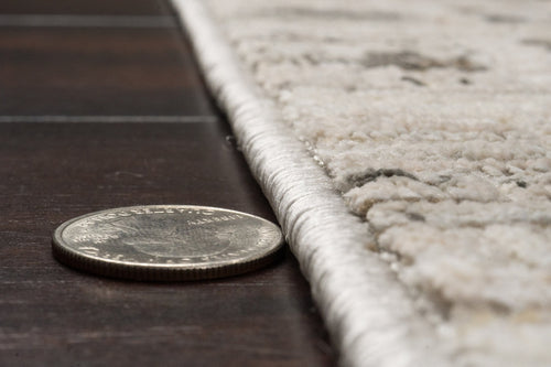 Dynamic Rugs Artemis 17552-890 Beige/Grey Rug