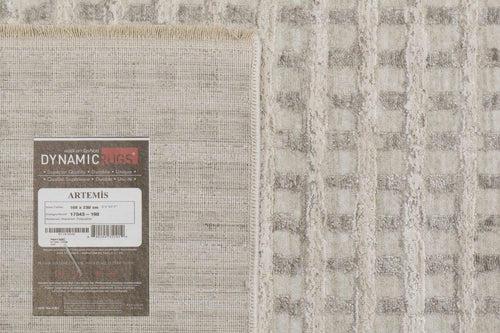 Dynamic Rugs Artemis 17543-190 Ivory/Grey Rug