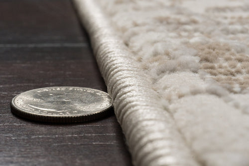 Dynamic Rugs Atlas 2570-810 Beige/Ivory Rug