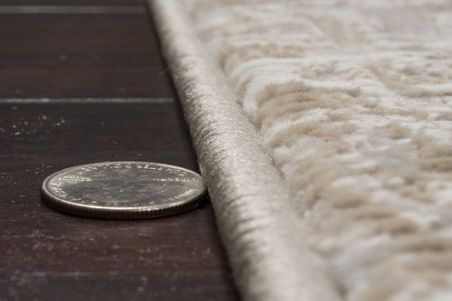 Dynamic Rugs Atlas 2573-800 Beige Rug