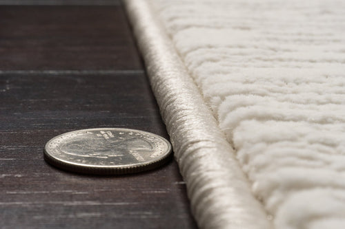 Dynamic Rugs Atlas 2578-180 Ivory/Beige Rug