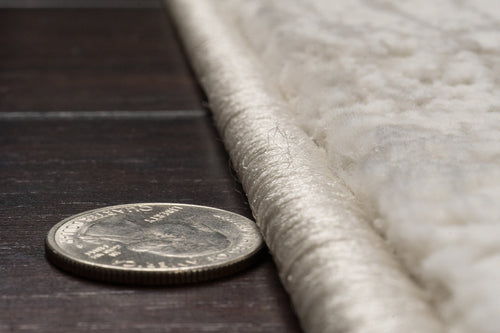 Dynamic Rugs Atlas 2579-189 Ivory/Beige/Grey Rug