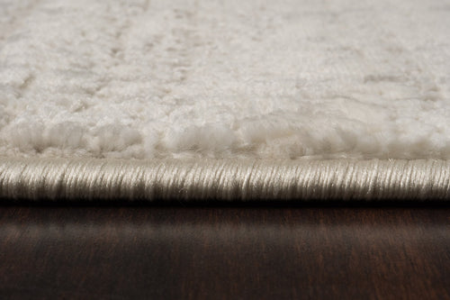 Dynamic Rugs Atlas 2579-189 Ivory/Beige/Grey Rug