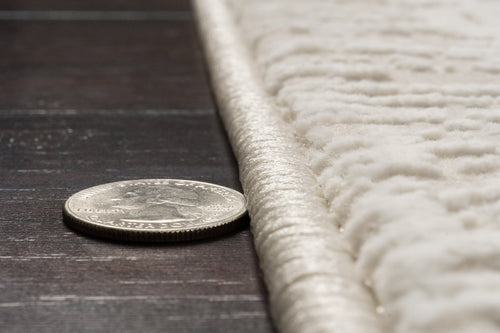 Dynamic Rugs Atlas 2581-810 Beige/Ivory Rug