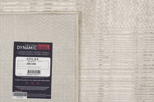 Dynamic Rugs Atlas 2582-890 Beige/Grey Rug