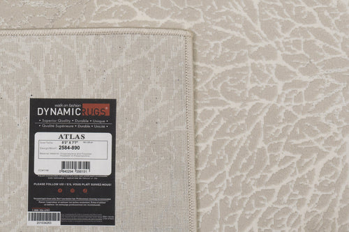 Dynamic Rugs Atlas 2584-890 Beige/Grey Rug
