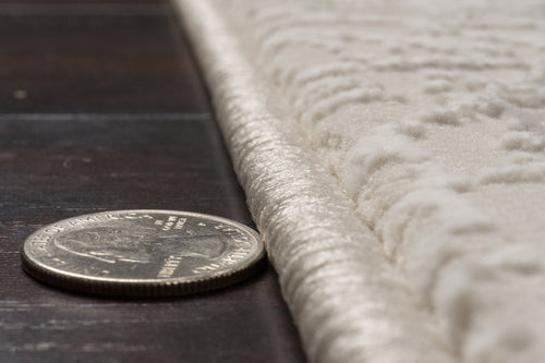 Dynamic Rugs Atlas 2584-890 Beige/Grey Rug