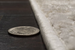 Dynamic Rugs Azure 12581-189 Ivory/Beige/Grey Rug