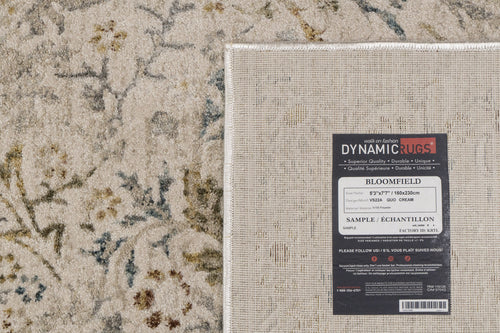 Dynamic Rugs Bloomfield 19601-199 Cream/Multi Rug