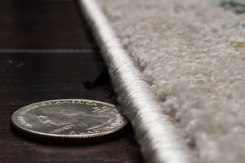 Dynamic Rugs Bloomfield 19601-199 Cream/Multi Rug