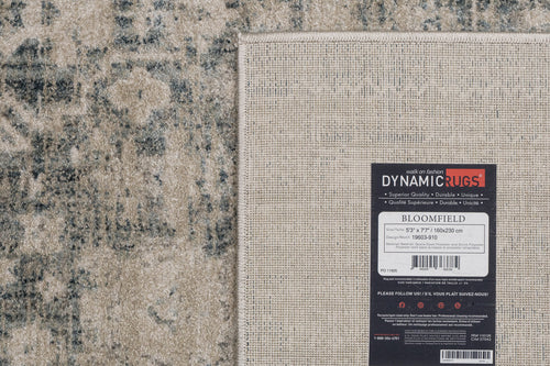Dynamic Rugs Bloomfield 19603-910 Grey/Cream Rug