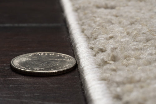 Dynamic Rugs Bloomfield 19604-980 Grey/Beige Rug