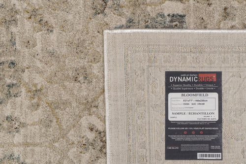 Dynamic Rugs Bloomfield 19606-891 Beige/Grey/Cream Rug