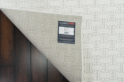 Dynamic Rugs Boutique 19481-190 Cream/Grey Rug