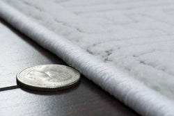 Dynamic Rugs Boutique 19481-190 Cream/Grey Rug