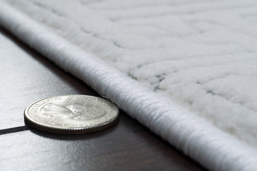 Dynamic Rugs Boutique 19481-190 Cream/Grey Rug