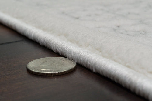 Dynamic Rugs Boutique 19483-910 Grey/Cream Rug