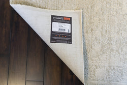 Dynamic Rugs Canyon 15473-880 Beige/Light Beige Rug