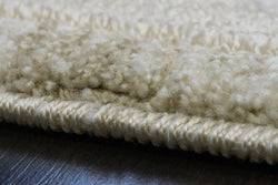 Dynamic Rugs Canyon 15473-880 Beige/Light Beige Rug