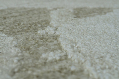 Dynamic Rugs Canyon 15474-880 Beige/Light Beige Rug