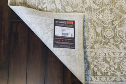 Dynamic Rugs Canyon 15475-881 Beige/Light Beige/Cream Rug