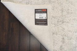Dynamic Rugs Canyon 15477-910 Grey/Cream Rug