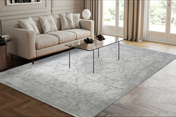 Dynamic Rugs Canyon 15477-910 Grey/Cream Rug