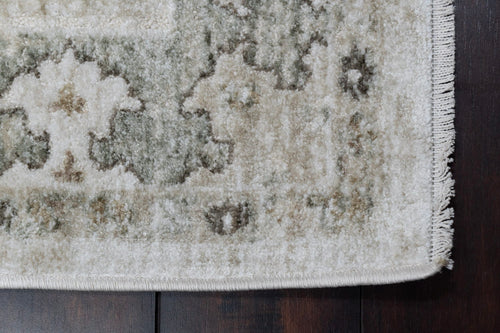 Dynamic Rugs Diamond 10281-149 Cream/Sage/Multi Rug