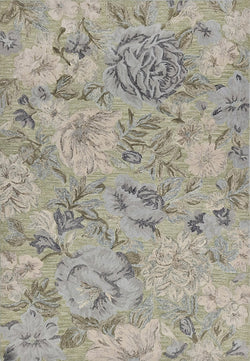 Dynamic Rugs Daisy 9091-499 Light Green/Multi Rug
